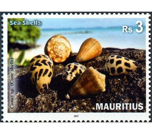 Sea Shells of Mauritius - East Africa / Mauritius 2017