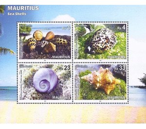 Sea Shells of Mauritius - East Africa / Mauritius 2017