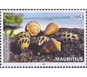 Sea Shells of Mauritius - East Africa / Mauritius 2017 - 3