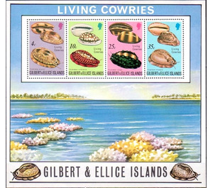 Sea Snails - Micronesia / Gilbert and Ellice Islands 1975