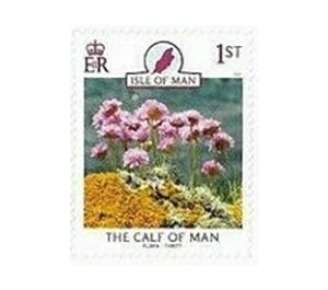 Sea Thrift (Armeria maritima) - Great Britain / British Territories / Isle of Man 2021