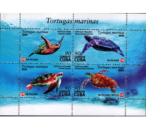 Sea Turtles - Caribbean / Cuba 2020