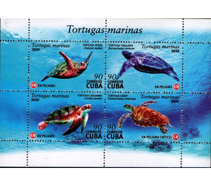 Sea Turtles - Caribbean / Cuba 2020