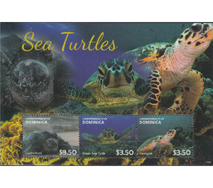 Sea turtles - Caribbean / Dominica 2014