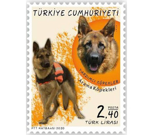 Search & Rescue Dog, German Shepherd (Canis lupus familiaris - Turkey 2020 - 2.40