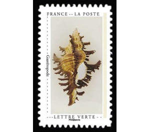 Seashell - France 2020
