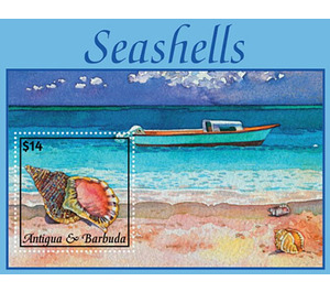 Seashells - Caribbean / Antigua and Barbuda 2020