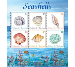 Seashells - Caribbean / Antigua and Barbuda 2020