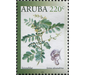 Senneblar (Senna alexandrina) - Caribbean / Aruba 2019 - 220