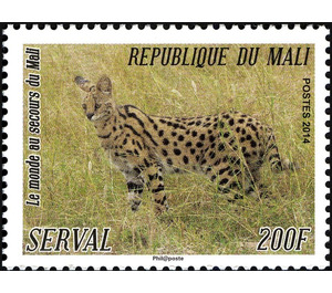 Serval (Leptailurus serval) - West Africa / Mali 2014 - 200