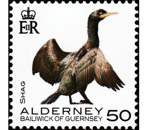 Shag - Alderney 2020 - 50