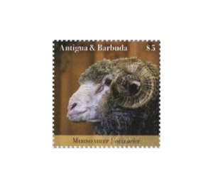 Sheep - Caribbean / Antigua and Barbuda 2020 - 5