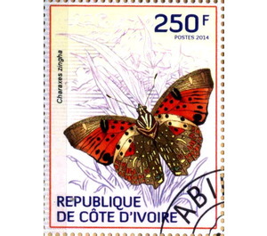 Shining Red Charaxes (Charaxes zingha) - West Africa / Ivory Coast 2014 - 250