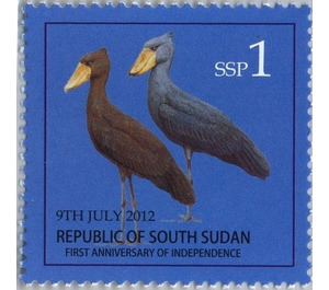 Shoebill (Balaeniceps rex) - East Africa / South Sudan 2012 - 1