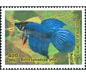 Siamese Fighting Fish (Betta splendens) - Iran 2004 - 400