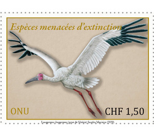 Siberian Crane (Leucogeranus leucogeranus) - UNO Geneva 2020 - 1.50