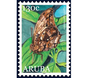 Silver-Studded Leafwing (Hypna clytemnestra) - Caribbean / Aruba 2020 - 130