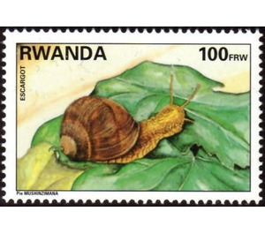 Snail - East Africa / Rwanda 1995 - 100