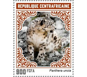 Snow Leopard (Panthera uncia) - Central Africa / Central African Republic 2021 - 900