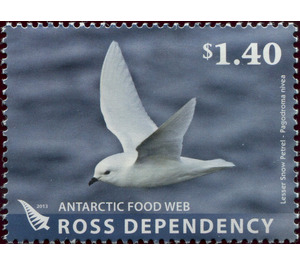 Snow Petrel (Pagodroma nivea) - Ross Dependency 2013 - 1.40