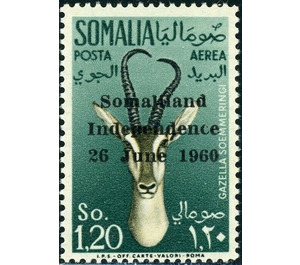 Soemmerring's Gazelle (Nanger soemmerringii) - East Africa / Somalia 1960 - 1.20