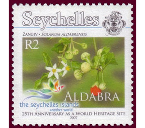 Solanum aldabrensis - East Africa / Seychelles 2007 - 2
