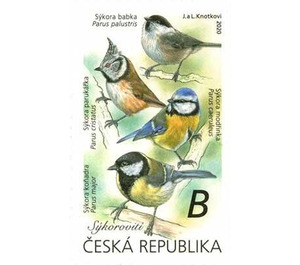 Songbirds - Tits (Parus sp.) - Czech Republic (Czechia) 2020