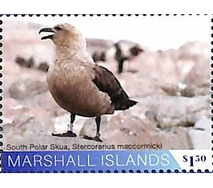 South polar skua - Micronesia / Marshall Islands 2020 - 1.50