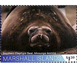 Southern elephant seal - Micronesia / Marshall Islands 2020 - 1.50
