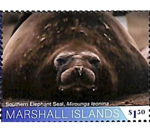 Southern elephant seal - Micronesia / Marshall Islands 2020 - 1.50