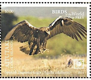 Spanish Imperial Eagle (Aquila adalberti) - Aitutaki 2019 - 3