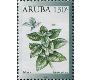 Spearmint (Mentha spicata) - Caribbean / Aruba 2019 - 130