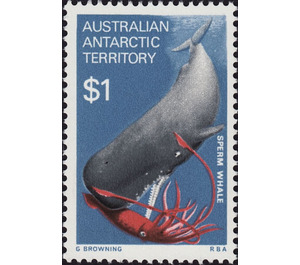 Sperm Whale (Physeter macrocephalus) - Australian Antarctic Territory 1973 - 1