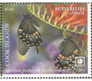 Spicebush Swallowtail (Papilio troilus) - Polynesia / Cook Islands 2020 - 7