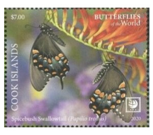 Spicebush Swallowtail (Papilio troilus) - Polynesia / Cook Islands 2020 - 7