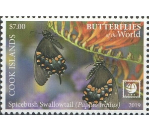 Spicebush Swallowtail (Papilio troilus) - Polynesia / Cook Islands 2020 - 7