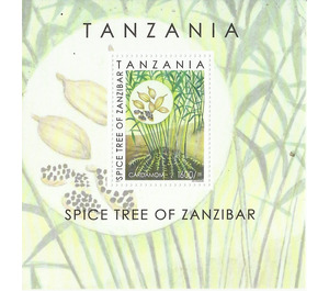 Spices of Zanzibar - East Africa / Tanzania 2018