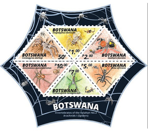 Spiders of Botswana - South Africa / Botswana 2020