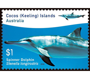 Spinner Dolphin (Stenella longirostris) - Cocos (Keeling) Islands 2016 - 1