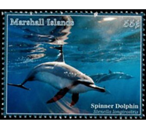 Spinner Dolphin (Stenella longirostris) - Micronesia / Marshall Islands 2020 - 55