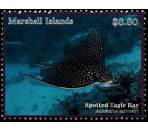 Spotted Eagle Ray (Aetobatus narinari) - Micronesia / Marshall Islands 2020 - 8.80