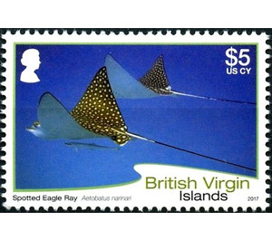 Spotted Eagle Ray - Caribbean / British Virgin Islands 2017 - 5