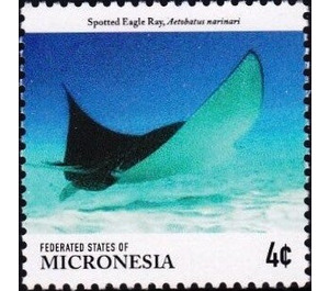 Spotted eagle ray - Micronesia / Micronesia, Federated States 2015 - 4