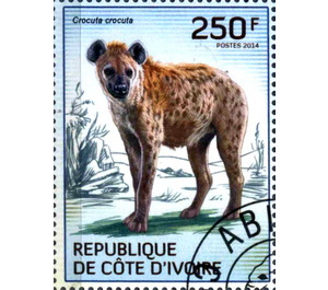 Spotted Hyena (Crocuta crocuta) - West Africa / Ivory Coast 2014 - 250