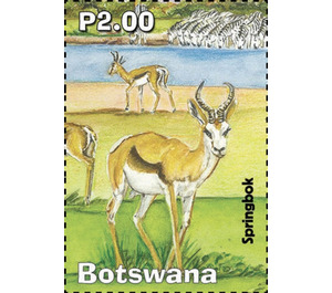Springbok - South Africa / Botswana 2019 - 2