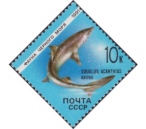 Spurdog (Squalus acanthias) - Russia / Soviet Union 1991 - 10