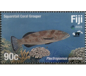 Squaretail Coral Grouper - Melanesia / Fiji 2019 - 90