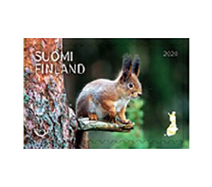 Squirrel - Finland 2020