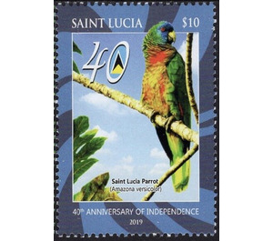 St. Lucia Parrot (Amazona versicolor) - Caribbean / Saint Lucia 2019 - 10