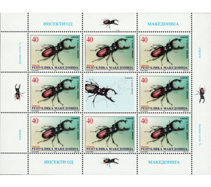 Stag Beetle (Lucanus cervus) - Macedonia / North Macedonia 1998